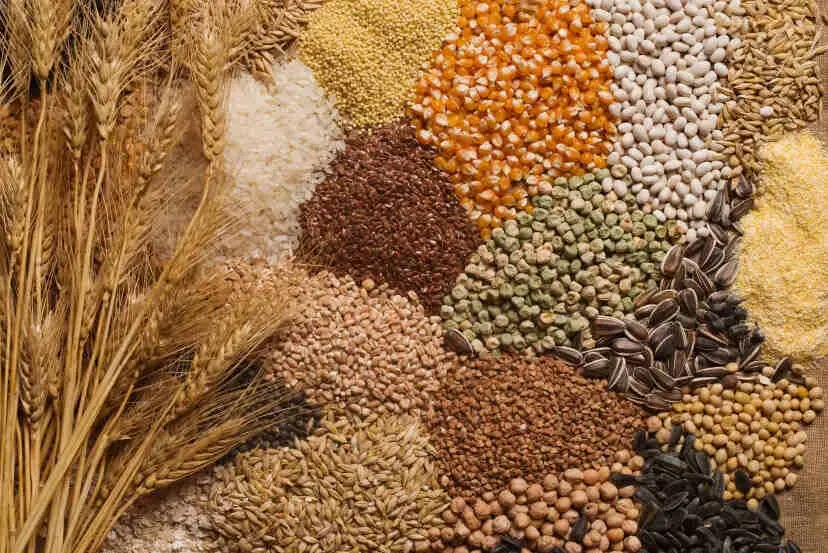 Indian grains and cereals for global agricultural export