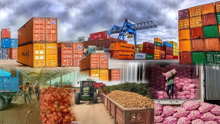 Containers loaded with Indian onions for global agricultural export